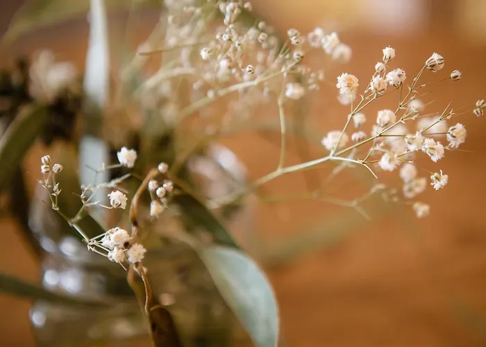 Отель Helios Lloret